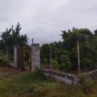 فروش باغچه ی ۲۵۰ متری