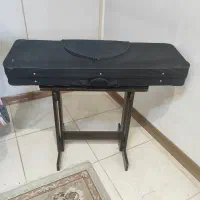 سنتور با میز