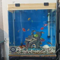 اکواریوم باهمه ی تجهیزات