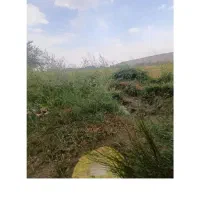 یک نفر نگهبان