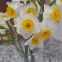 جویای کار در منزل هستم بسته بندی باشه