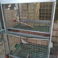 قفس مکانیزه