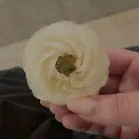 شناسنامه گمشده