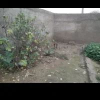 خانه ویلایی بزرگ