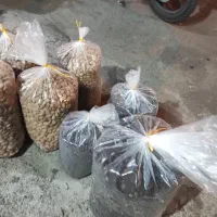 خشکبار|خوردنی و آشامیدنی|قم, ارم|دیوار
