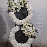 گل طبیعی تاج جام تاجگل دایره ای هلال درباری شبکه|گل و گیاه طبیعی|تهران, منیریه|دیوار