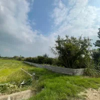 فروش باغ ۵۰۰متری در محدوده شهر کیاکلا