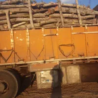 خریدار انواع چوب باغی و چوب گردو برای فروش دارم