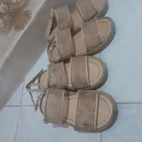 کالج وصندل مجلسی|کفش و لباس بچه|شهریار, شهریار|دیوار