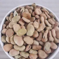 بذر باقله دزفولی درجه یک مال امساله|حراج|بروجرد, |دیوار