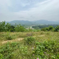 ۷۰۰مترویودار/سوستان/دارای پروانه ساخت/معاوضه و نقد|فروش زمین و ملک کلنگی|لاهیجان, کوی استادان|دیوار