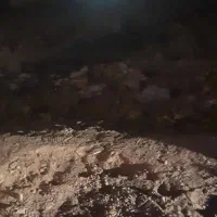 کیف پول گمشده