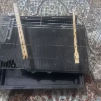 قفس وملزومات پرنده