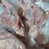 پخش غذای سگ تحویل درب کارخانه