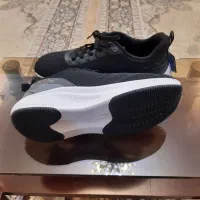 کتونی اسکیچرز ویتنام|کیف، کفش، کمربند|لاهیجان, قیام|دیوار