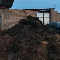 کود گاوی صنعتی