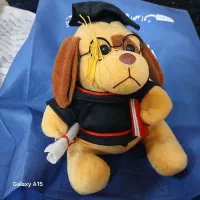 اسباب بازی جنس ترک