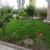 خدمات دانش بنیان کشاورزی توسط دکتری تخصصی کشاورزی|خدمات باغبانی و درختکاری|تبریز, |دیوار
