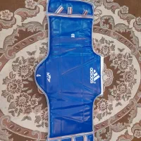 هوگو تکواندو.