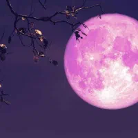 راهنمایی و مشاورا