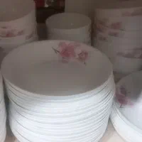ظروف ارکوپال اصل