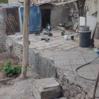 کفتر فروشی