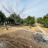 فرصت-طلایی-فروش-زمین-200-متری-در-بابلکنار