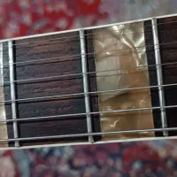 گیتار الکتریک کلکسیونی 1960|گیتار، بیس، امپلیفایر|تهران, سازمان برنامه جنوبی|دیوار