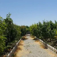چهاردیواری-500متری-چسب-مسکونی-شهریار-میدان-نماز