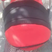 نی نی لای لای بچه|کالسکه و لوازم جانبی|شیراز, شهرک بهار|دیوار