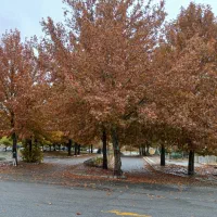 کیف پولم گمشده