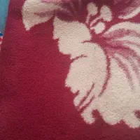 پتو دو نفره و تک نفره|رختخواب، بالش، پتو|ری, منصوریه منگل|دیوار