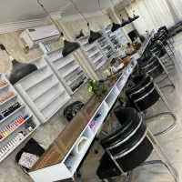 ناخنکار /مژه کار حرفه ای پیروزی