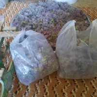 چای کوهی نصف قیمت
