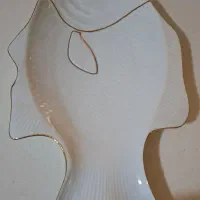 ظرف پذیرای نو