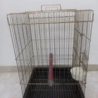 قفس ۱۰۳۳ کاسکویی