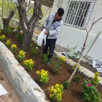 گل کاری باغبانی درخت کاری سمپاش، گلکاری، درخت کار)