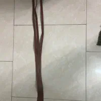 کمر بند  زنونه