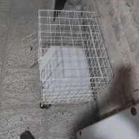 قفس محکم و ریلی مخصوص همه نوع جانورسگوگربه|لوازم جانبی حیوانات|مرودشت, ژیان|دیوار
