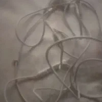 شارژر و هنذفری|لوازم جانبی موبایل و تبلت|شیراز, آزادگان|دیوار