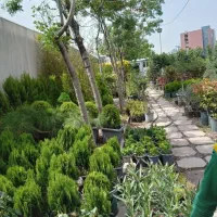 خدمات باغبانی گلکاری چمنکاری کودهی تعویض خاک گلدان