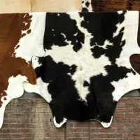 پوست گاو گوسفند بز و