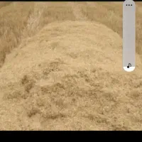 لوازم جانبی حیوانات