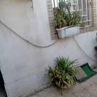 یک-باب-اتاق-برای-اجاره-نمایشگاهی-ها