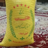 برنج هاشمی کشت دوم شمال