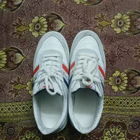 کفش فروش می رسد