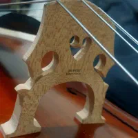 ویولنسل ۴/۴ ایستمن ۲۰۵ با متعلقات|ویولن|تهران, بریانک|دیوار