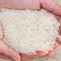 برنج هاشمی  طارم  صدری عنبربو  فجر  ندا  شیرودی|خوردنی و آشامیدنی|اردبیل, |دیوار