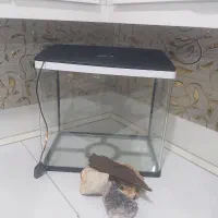 آکواریوم بزرگ درحد نو