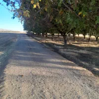 مرغداری ۴۰۰۰ قطعه ایی.ویک واحد ۸۰۰۰ قطعه زمانیان.|فروش دفتر صنعتی، کشاورزی، تجاری|نهاوند, |دیوار
